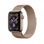 Apple Watch Series 5 (GPS) 44mm Gold Stainless Steel Case
