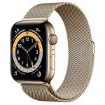 Apple Watch Series 6 (GPS) M09J3 44mm Gold Stainless Steel Case with Milanese Loop 4G